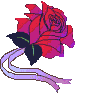 Gif animé rose et alliances